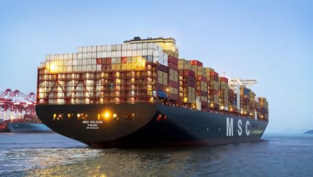 Konteyner Gemilerindeki Tehlikeli Madde Envanteri: Taşıyıcılar İçin Gerekli Ancak Bürokratik Başka Bir Yük