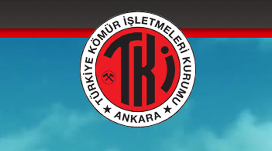 eli araç sıra panosu