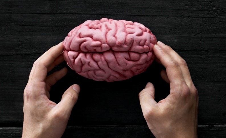 yapay zeka aday zeka candidate intelligent