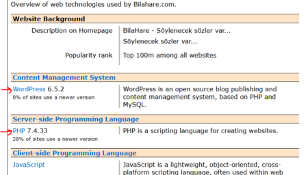 Websitesinin PHP | ASP.NET Hangi Dilde Yazıldığını Öğrenme